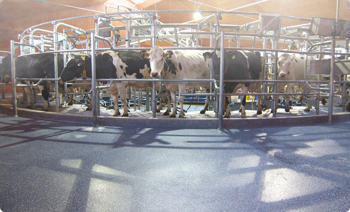No Wet Floors with OZMist Livestock Cooling